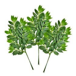 FUNORNAM 12Pcs Italian Ruscus Greenery Stems Artificial Silk Greenery Leaves Garland Vines Hanging Spray for DIY Wedding Arch Bouquet Filler Table Centerpieces Home Indoor Decor