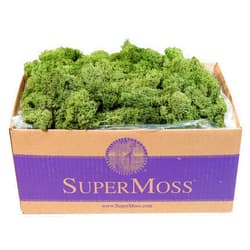 SuperMoss (25155) Reindeer Moss Preserved, Basil, 3 Pounds