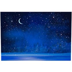 Yeele 9x6ft Winter Night Snowfall Snowflake Photography Backdrops Starry Sky Moon Blurry Fir Trees Pine Forest Background Merry Christmas Happy New Year Party Banner Decoration Studio Props