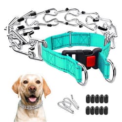 Marnonsis Dog Training Collar No Pull, Adjustable Dog Basic Collar for Small Medium Large Dogs with Quick Release Buckle,Extra Links, Safety Clip, Rubber Tips(Green,M)