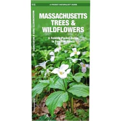 James Kavanagh Waterford Press,Waterford Press Waterford Press,Leung Raymond Leung Raymond Massachusetts Trees & Wildflowers: A Folding Pocket Guide to Familiar Plants (Wildlife and Nature Identification)