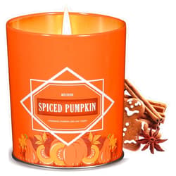 Molensun Christmas Spiced Pumpkin Candle, Fall Winter Candle for Home Scented, Christmas Gifts for Women Men, 9oz Soy Aromatherapy Candle
