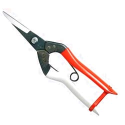 Okatsune Bud Cutting Shears in Box No. 304