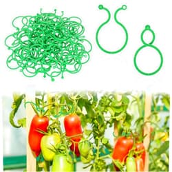 Giantree 100 Pcs Plant Support Clips for Climbing Plants Outdoor, Tomato Plant Support Vine Clips Flower Lever Loop Gripper Fixing Clips Secured Plastic Plant Clips Reusable Garden Clips