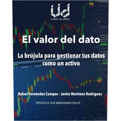 Don Rafael Fernández Campos,Don Javier Martínez Rodríguez El valor del dato: La brújula para gestionar tus datos como un activo (Spanish Edition)
