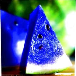 QAUZUY GARDEN 50 Rare Blue Watermelon Seeds for Planting, Sweet, Juicy, Organic Non-GMO Heirloom Fruit Seeds, Grow Your Own Delicious Fruit in Garden Outdoor