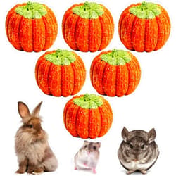 Fhiny 6 PCS Rabbit Chew Toys, Natural Pumpkin Carrot Timothy Grass Guinea Pig Chew Toys for Teeth Bunny Molar Snacks Dental Care Hamster Treats for Bunny Guinea Pig Chinchilla Hamster Gerbil