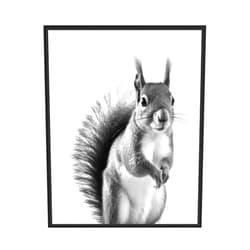 HomeArtPrint Squirrel Art Prints Posters, Black and White Animal Photography Wall Art, Wildlife Nature Photo, Exotic Animal Wall for Bathroom Bedroom Decor 71 (Squirrel, 8 x 10 inches, Unframed)