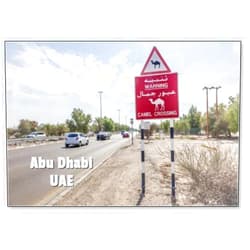 Photomagnet Camel Crossing Sign in Abu Dhabi, UAE, Fridge Magnet