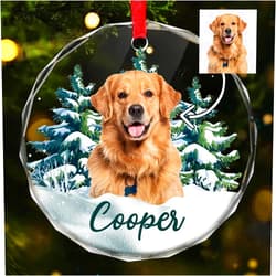 Julyly POD JulylyPOD Personalized Dog Christmas Ornament, Dog Photo Glass Ornaments for Christmas Tree, Gifts for Pet Lovers, Pet Ornament, Personalized Pet Gifts, Gifts for Dog Lovers, Dog Mom Gifts