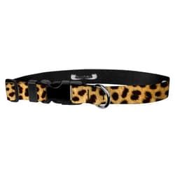 Moose Pet Wear Animal Print Dog Collar - Waterproof Cute Leopard Print Dog Collar - 3/4 Inch Adjusts 8.5-12.5 Inches, Small, Leopard