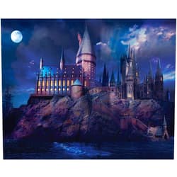 KAQ Jigsaw Puzzles for Adults 1000 Pieces Kids Boys Girls,Magic Academy,Intellective Educational Decompression Gift Fun Interesting Family Parent Child Cooperative Game