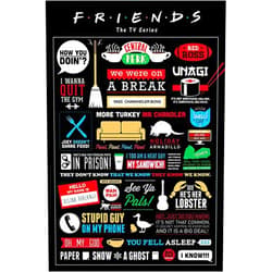 POSTER STOP ONLINE Friends - TV Show Poster (Infographic - Pictograms, Logos & Quotes) (Size 24 x 36)