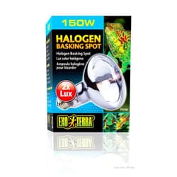 Hagen Exo Terra Sun-Glo Daylight Halogen Lamp, 150-Watt