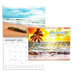 PELICAN INDUSTRIAL 2025 Spiral-bound Wall Calendar (Beaches) - 12 Months Desktop/Wall Calendar/Planner (11x17)