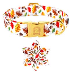 MR.CHUBBYFACE MR. CHUBBYFACE Fall Dog Collar Maple Leaf Dog Collar Bow Boy Girl Dog Collars with Flower for Puppy Small Medium Large Dogs