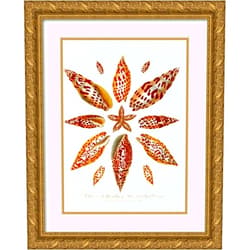 ArtDirect John Chapman 14x18 Gold Ornate Frame and Double Matted Museum Art Print Titled: Encyclopaedia London - Conchology Pl. 06 (1810)