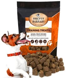 BRUTUS & BARNABY Training Treats for Dogs - Peanut Butter & Honey - All-Natural Healthy Low Calorie Vegetarian Treat - Great to Use for Rewards in Training Your Puppy Or Dog