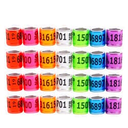 balacoo 100Pcs Birds Leg Rings Aluminum Plastic Colorful Reusable Racing Pigeon Foot Ring Poultry Parrot Identification Leg Band for Chicks Lovebirds(Random Color)