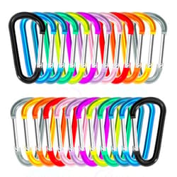Zalava 24PC Aluminum Carabiner Clip D Ring, 24PC Keychain Clips Spring Snap Hook,Small Carabiners Set for Outdoor Camping Fishing Hiking Car Keychain