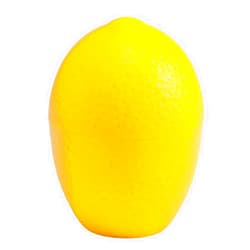 Hutzler Lemon Saver