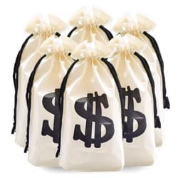 Eylola Money Bags, 48Pcs 6.3 x 9 Inch PE Dollar Sign Bags, Casino Theme Party Decorations, Boss Baby Birthday Gift Bags, Goody Bags for Various Occasions