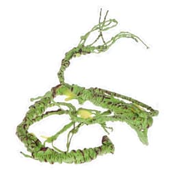 PINVNBY Reptile Vines, Flexible Bend-A-Branch Jungle Vines Pet Habitat Decor Reptile Plants Terrarium for Lizard, Frogs, Snakes and More Reptiles Climbing (Large: 43.31 x 0.79 Inch)