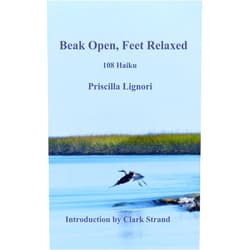 Priscilla A Lignori,Clark Strand Beak Open, Feet Relaxed: 108 Haiku