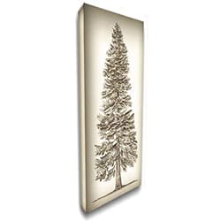 ArtDirect Pacific Northwest Tree Sketch I 10x18 Gallery Wrapped Canvas Museum Art by Wang, Melissa