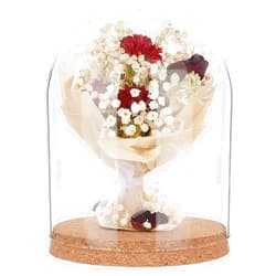 BENECREAT Glass Display Dome Cloche, 7.5x6inch Glass Bell Jar Display Dome Glass Decorative Jars with Cork Base for Flower Plants, Specimens, Crafts Decorations, ID: 5.5inch