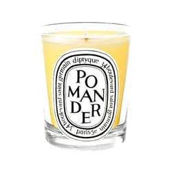 Diptyque Pomander Candle-6.5 oz