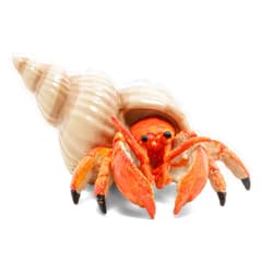 Papo - 56054 - Figurine - Hermit Crab, Multicolor