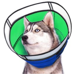 INKZOO Dog Cone Collar for After Surgery, Soft Pet Recovery Collar for Dogs and Cats, Adjustable Cone Collar Protective Collar for Large Medium Small Dogs Wound Healing (Blue & Green, X-Large)
