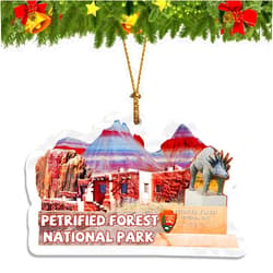 Orlybar Petrified Forest National Park Christmas Ornament Acrylic Christmas Tree Pendant Decorations Classic Travel Souvenir Gift Collection -343