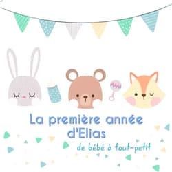 BabyMemories FR Publishing La première année d'Elias - de bébé à tout-petit: Album bébé à remplir pour la première année de vie - Album naissance garçon (French Edition)