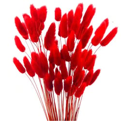 JOJAZE 60pcs Dried Bunny Tails Flowers Red Pampas Grass Natural Dried Floral Arrangement Dry Flowers for Christmas Halloween Boho Decor Home Wedding DIY Craft Decoration (16