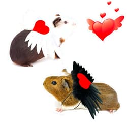 Vehomy 2Pcs Guinea Pig Valentine's Day Outfit Guinea Pig Angel Wings with Love Heart Costume Small Pet Love Heart Angel Wings Costume Vest Harness for Ferret Guinea Pig