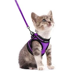 rabbitgoo Cat Harness and Leash Set for Walking Escape Proof, Adjustable Soft Kittens Vest with Reflective Strip for Cats, Comfortable Outdoor Vest, Purple, S