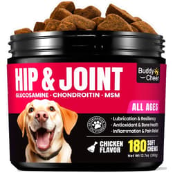 BuddyCheer Glucosamine for Dogs Hip and Joint Chews, Chondroitin Hip and Joint Supplement for Dogs, Pain Relief Joint Support Chews with MSM, Turmeric, zesty treat paw Salmon Oil for Dogs- Chicken Flavor- 180 Ct
