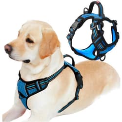 BARKBAY Dog Harness No Pull with ID Tag Pocket - Heavy Duty, Reflective, Easy Control for Large Dogs(Blue/Black,L)