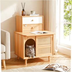 Generic Modern Cat Furniture 2 in 1 Litter Box Enclosure Side Table (Natural)