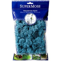 SuperMoss (25160) Reindeer Moss Preserved, Azure, 2oz Bag