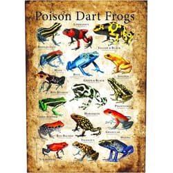 Pozino Metal Sign Poison Dart Frogs Cute Signboard Endangered AnimalsDiscover Why Some of The World¡¯s Extinct Animals Teach Science Pictures Home School Decorations8X12in