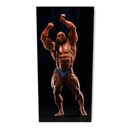 HWMABC Kai Greene Bodybuilder Poster 3 Canvas Poster Wall Art Decor Living Room Bedroom Decor Print Picture Print Unframe-style 08x16inch(20x40cm)