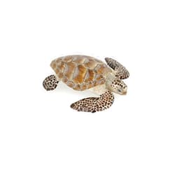 Papo Format: Toy Papo - hand-painted - figurine - Marine Life - Loggerhead Turtle Figure-56005 - Collectible - for Children - Suitable for Boys and Girls - from 3 years old