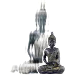 Bellaa Black Buddha Statue Enlightenment Meditation Dhyana Mudra Sitting Blessing Goodluck Happy Collectibles Figurines Sculpture Living Room Outdoor Garden Patio