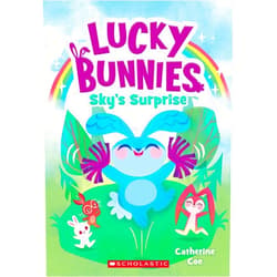 Catherine Coe,Chie Boyd Sky's Surprise (Lucky Bunnies #1) (1)
