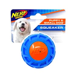 Nerf Dog 2.5in TPR EXO Squeak Ball - Blue/Orange