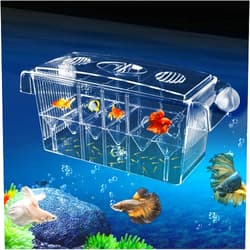 MaoTopCom 4 Rooms HD Fish Breeding Box Aquarium Breeding Box, Breeder Box for Fish Tank, Double Hatching Incubator Isolation Box for Guppy Baby Fish Hatchery
