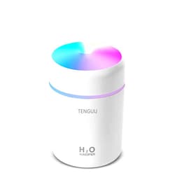 TENGUU Portable Mini Humidifier, 300ml Small Cool Mist Humidifier, USB Personal Desktop Humidifiers for Bedroom Car Office Home, Auto Shut-Off, 2 Mist Modes, Super Quiet, White